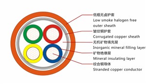 一帶一路沿線國家光伏分析：沙特阿拉伯
