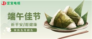 一年一端午，一歲一安康