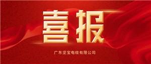 集團喜獲2024中國電力電纜 供應商綜合實力50強等多項榮譽