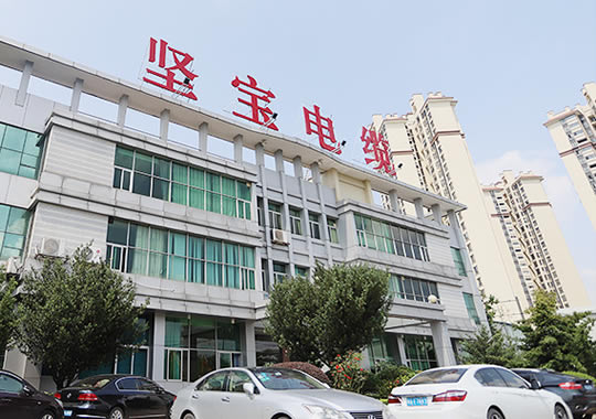 關於香蕉在线观看视频